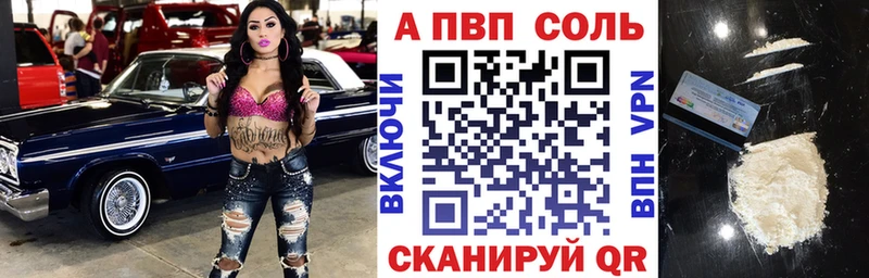 Альфа ПВП СК закладки Фокино