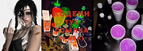 сатива Ростов