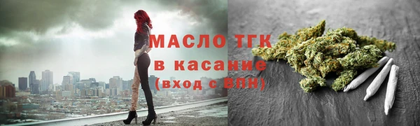 сатива Ростов