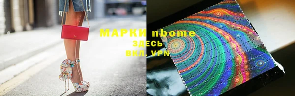 сатива Ростов