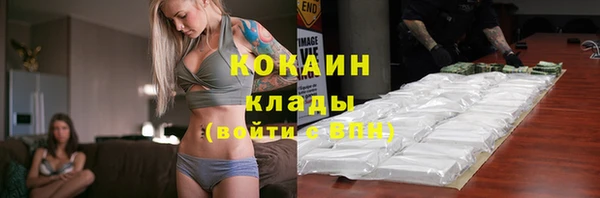 сатива Ростов