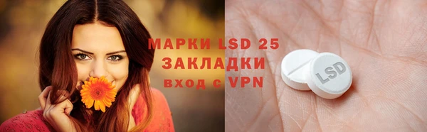 сатива Ростов