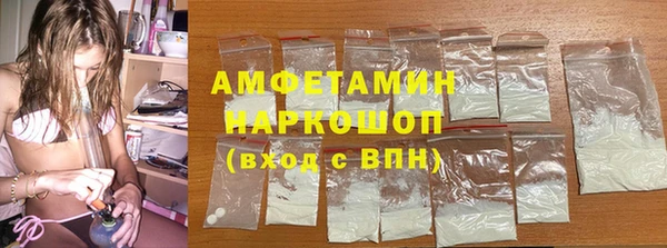 сатива Ростов