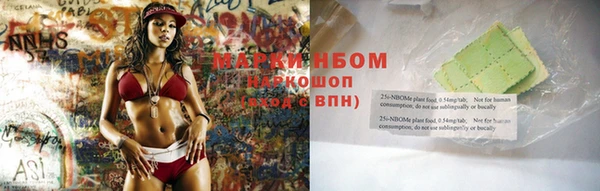 сатива Ростов