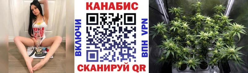 купить  цена  Фокино  Канабис планчик 